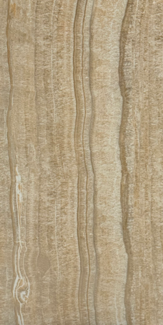 4765797B-7AF0-4C7B-AE1F-872CF391D656